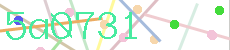 5a0731