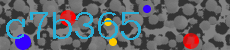 c7b365